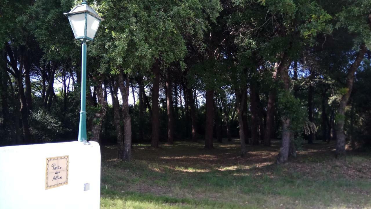 Enjoy The Best Of Countryside Leiria Eksteriør billede