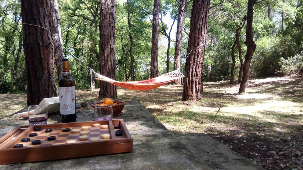 Enjoy The Best Of Countryside Leiria Eksteriør billede